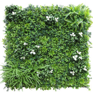 Desert Oasis 1000x1000