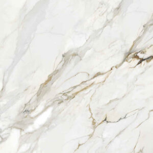 600x600 Royal Calcatta (Gloss)