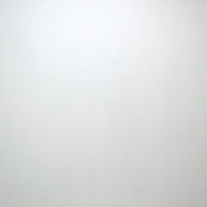 Wall Panel - White Gloss